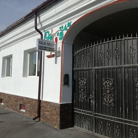 Vila Nely Rîşnov Exteriér fotografie