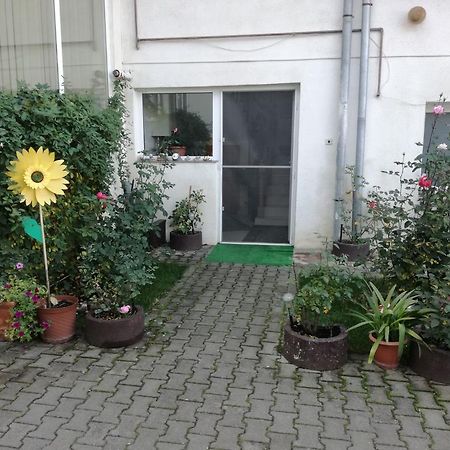 Vila Nely Rîşnov Exteriér fotografie