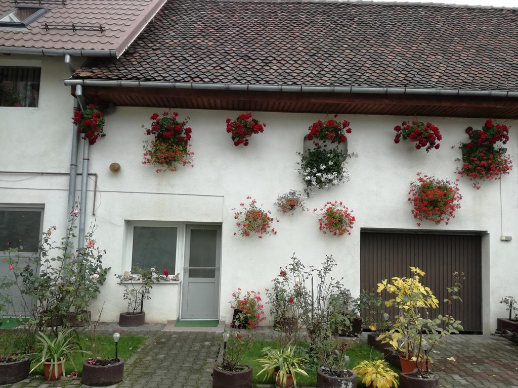 Vila Nely Rîşnov Exteriér fotografie
