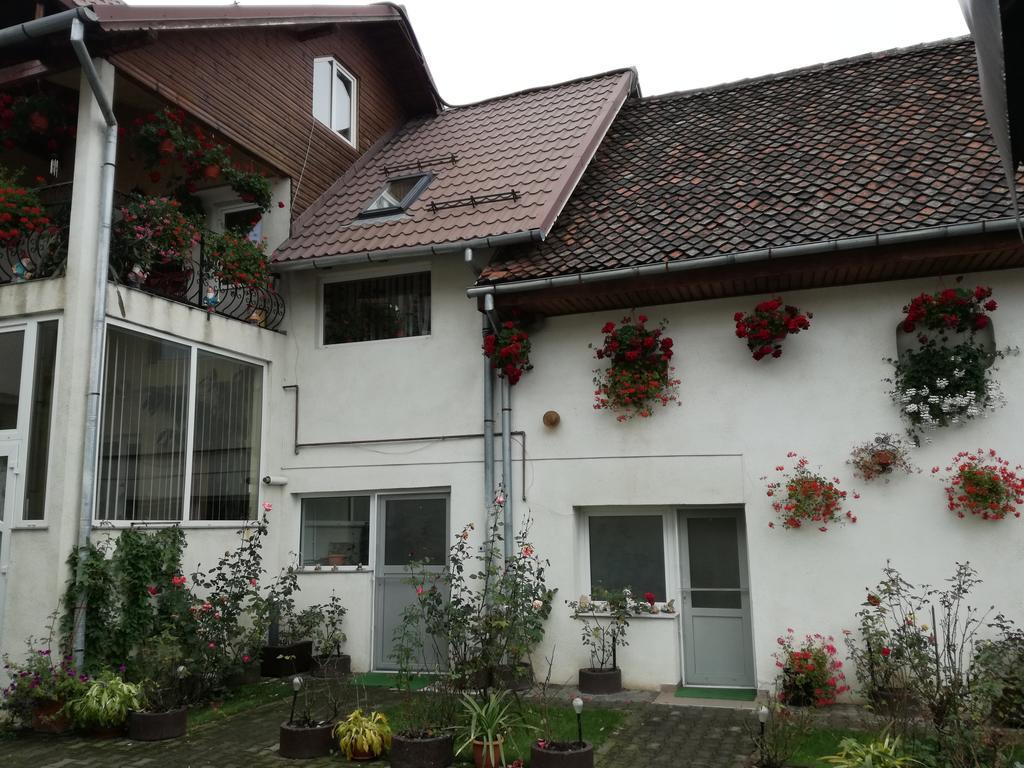 Vila Nely Rîşnov Exteriér fotografie