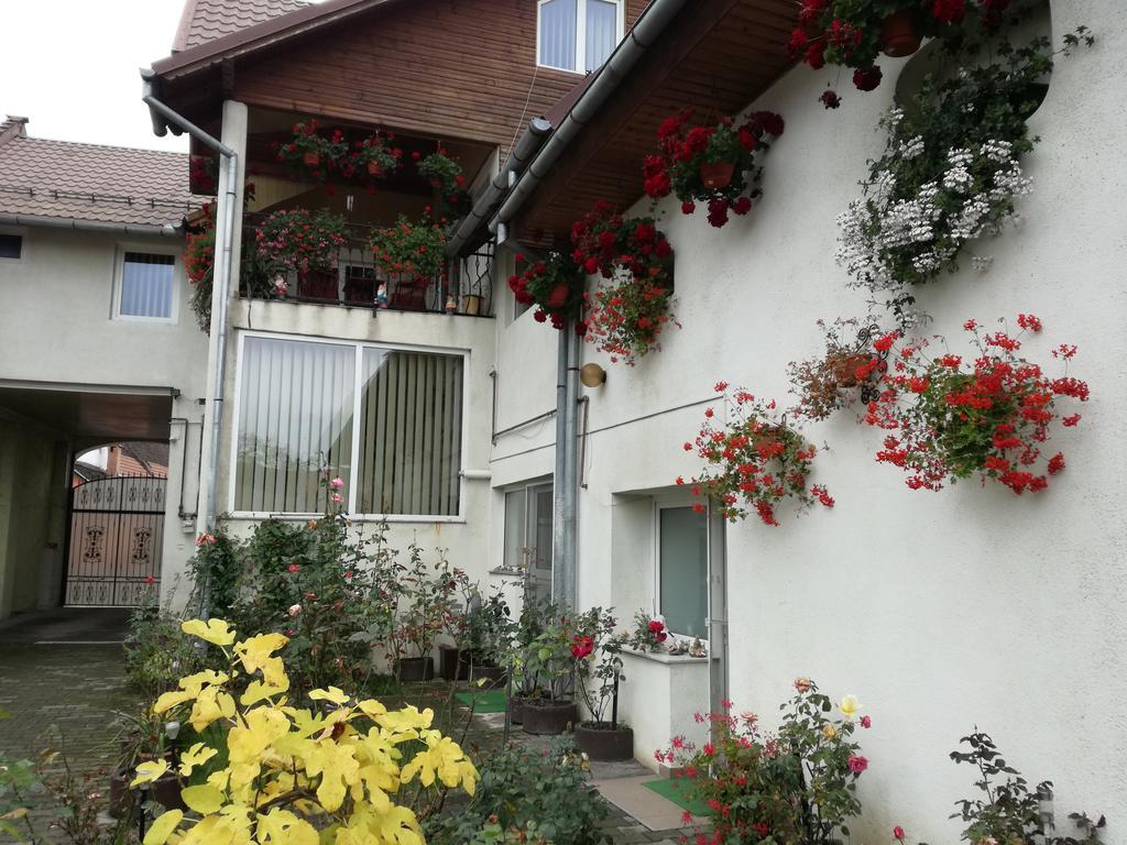 Vila Nely Rîşnov Exteriér fotografie