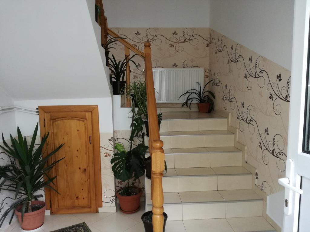 Vila Nely Rîşnov Exteriér fotografie
