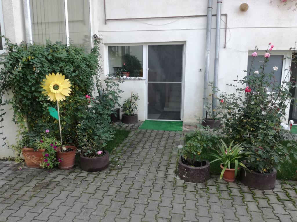 Vila Nely Rîşnov Exteriér fotografie